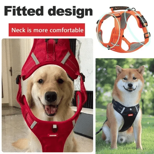 PawGrip™ | Wandel veilig met je hond