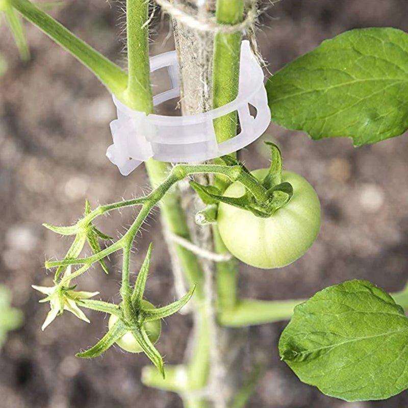 StableGrowth™ | Zorg voor een stevig tuin