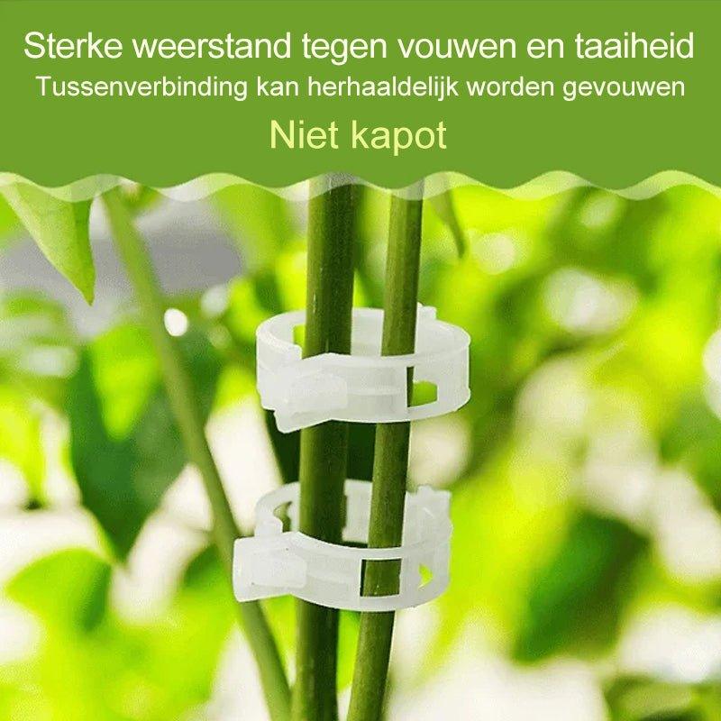 StableGrowth™ | Zorg voor een stevig tuin