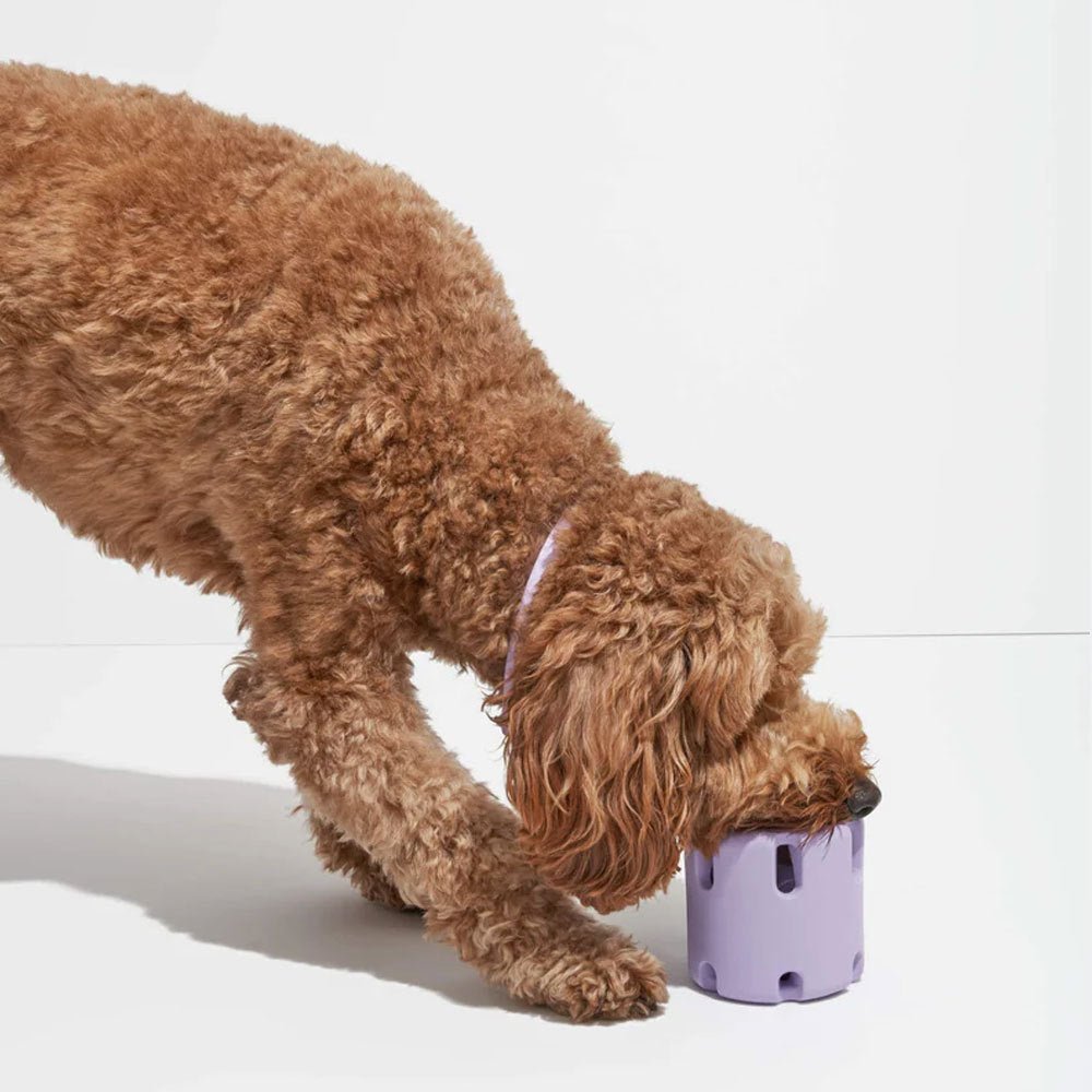 DogPlay™ | Eindeloos plezier voor jouw hond