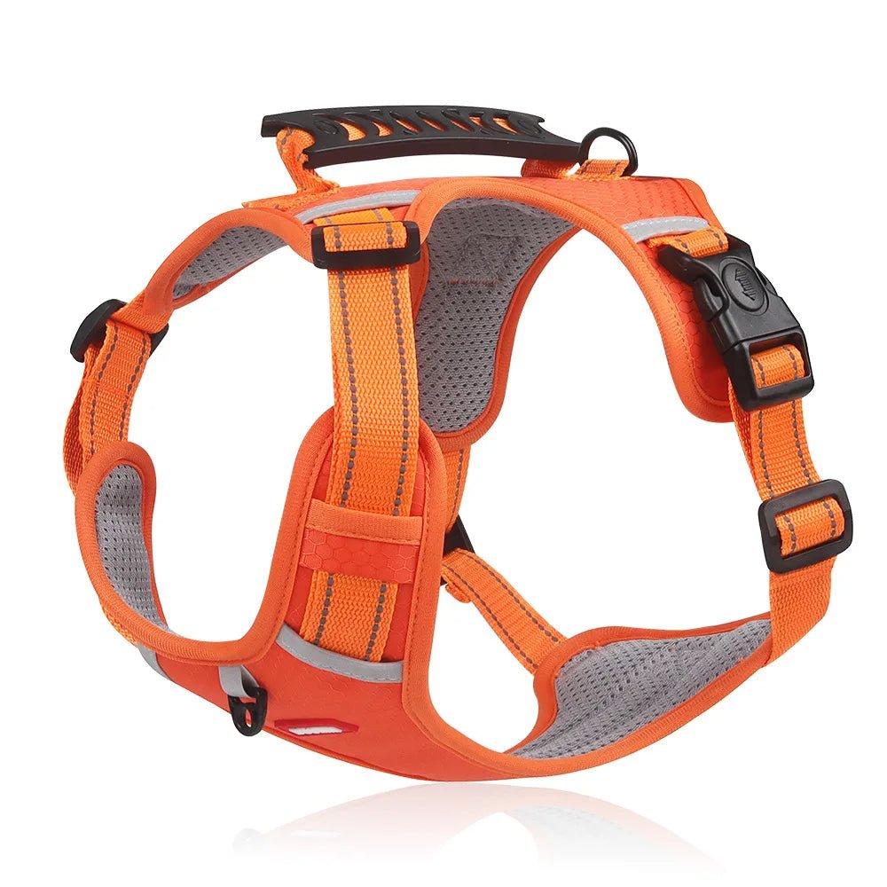 PawGrip™ | Wandel veilig met je hond