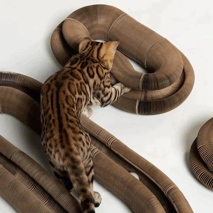 KattenRing™ | Verander het speelplezier van je kat