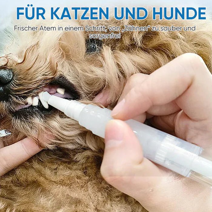 PawSparkle™ | Een oogverblindende glimlach voor je metgezel!