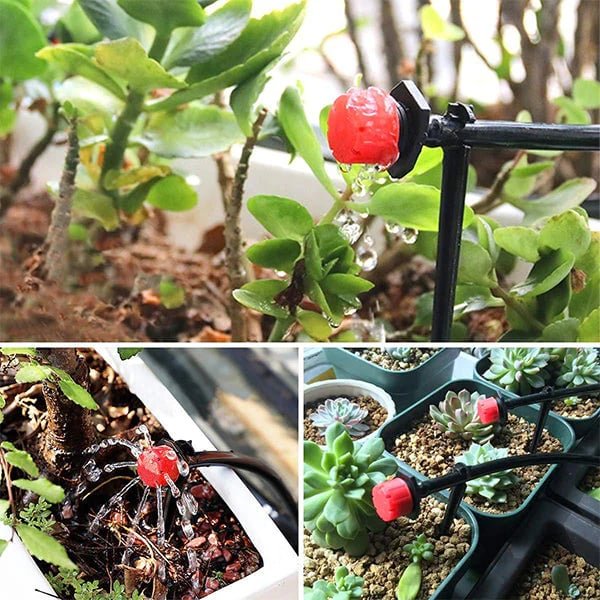 AquaFlow™ | Je planten in volle bloei