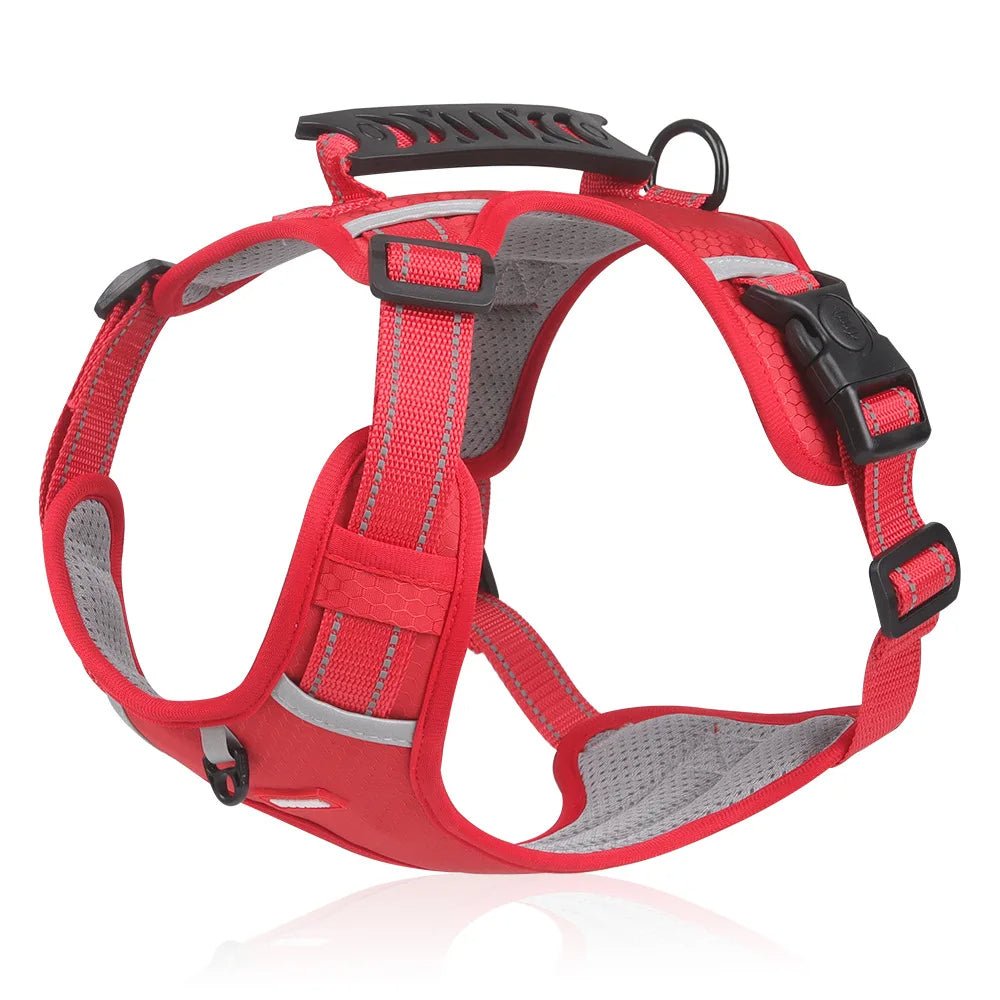 PawGrip™ | Wandel veilig met je hond