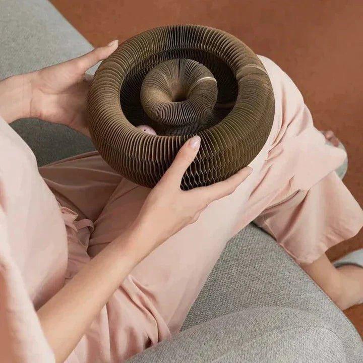KattenRing™ | Verander het speelplezier van je kat