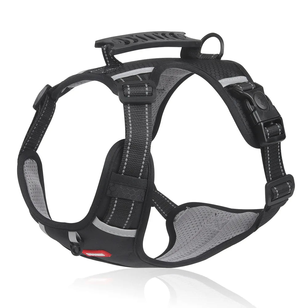 PawGrip™ | Wandel veilig met je hond