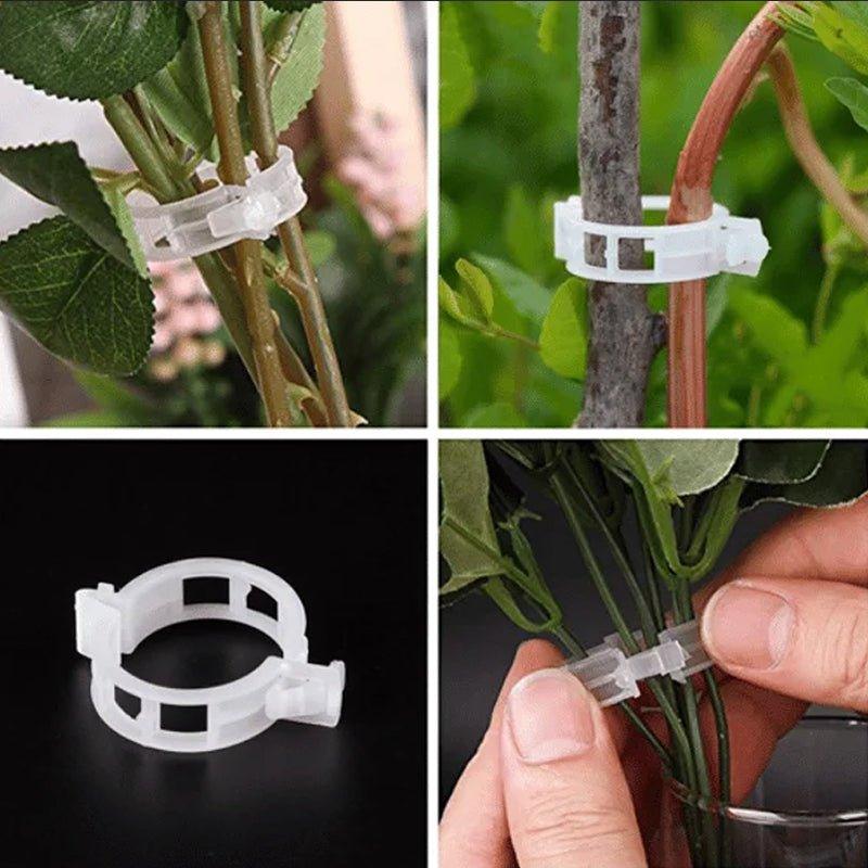 StableGrowth™ | Zorg voor een stevig tuin