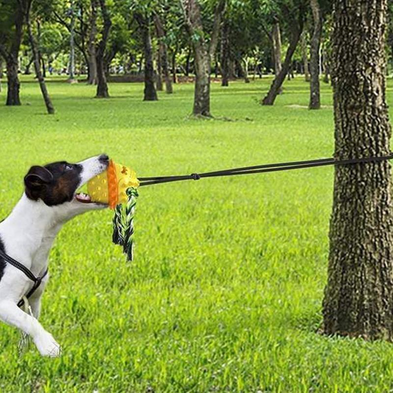 RopeBal™ | Eindeloos speelplezier voor huisdieren