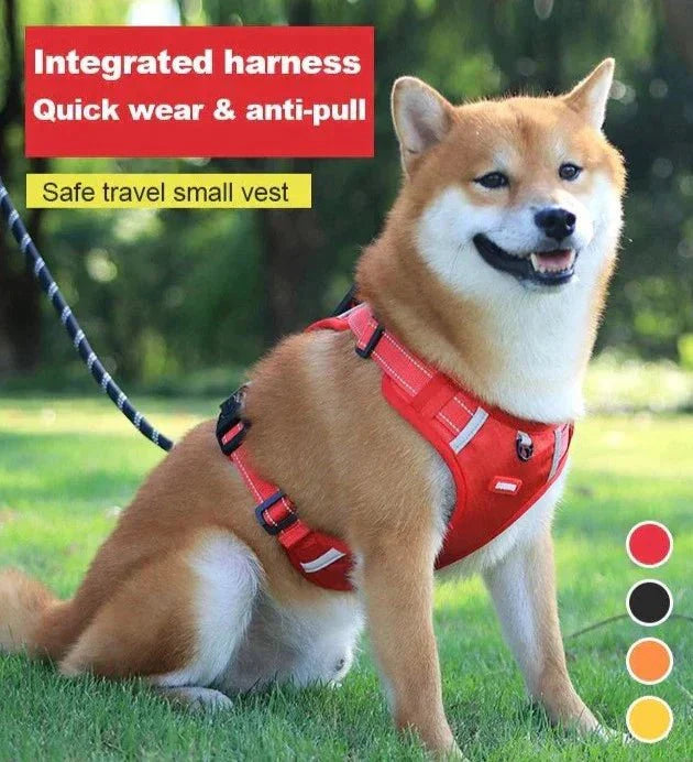 PawGrip™ | Wandel veilig met je hond