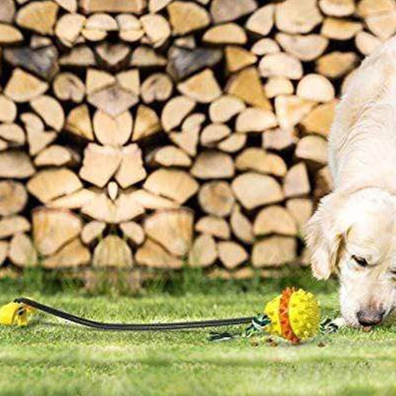 RopeBal™ | Eindeloos speelplezier voor huisdieren