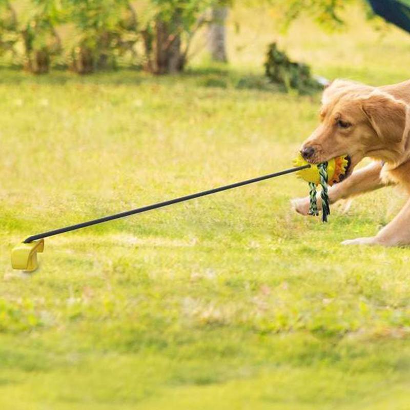RopeBal™ | Eindeloos speelplezier voor huisdieren
