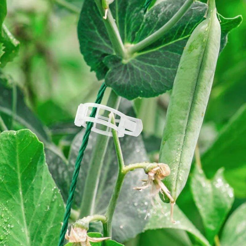 StableGrowth™ | Zorg voor een stevig tuin