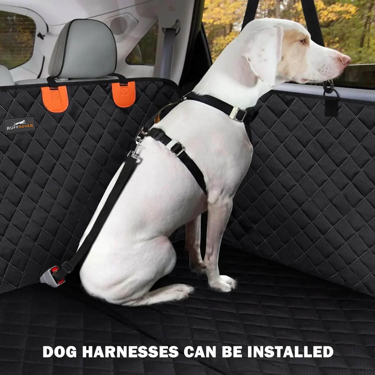 Hondenbank™ | Rustig reizen met je hond