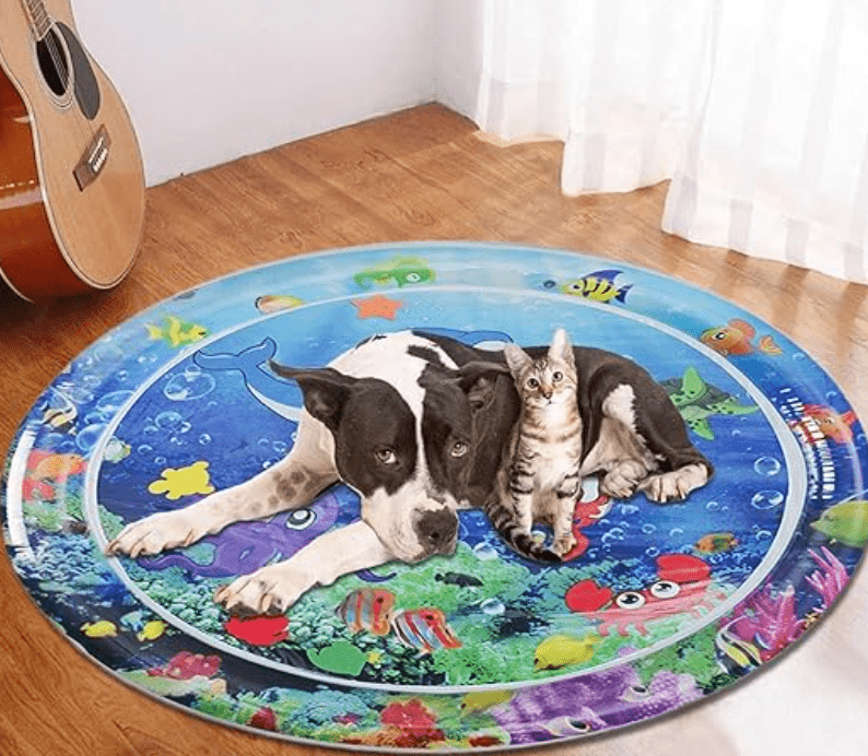 WaterBed™ | Geef je huisdieren hun eigen plekje