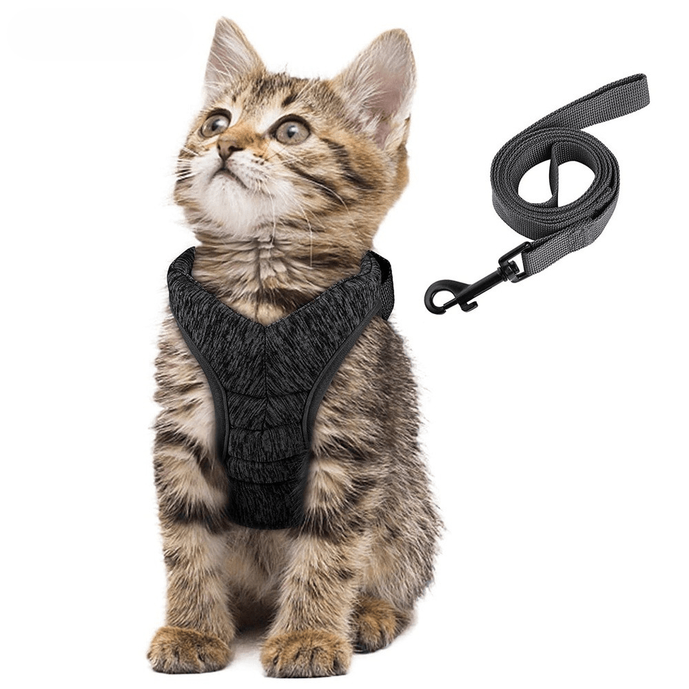 KattiNest™ | Veiligheid en comfort voor je kat