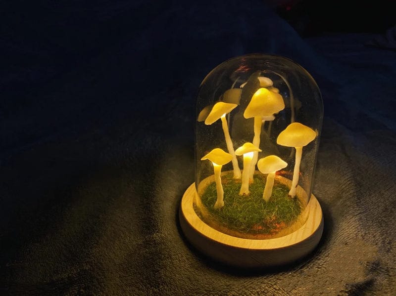 ShroomJar™ | Geniet van verse huisgemaakte champignons