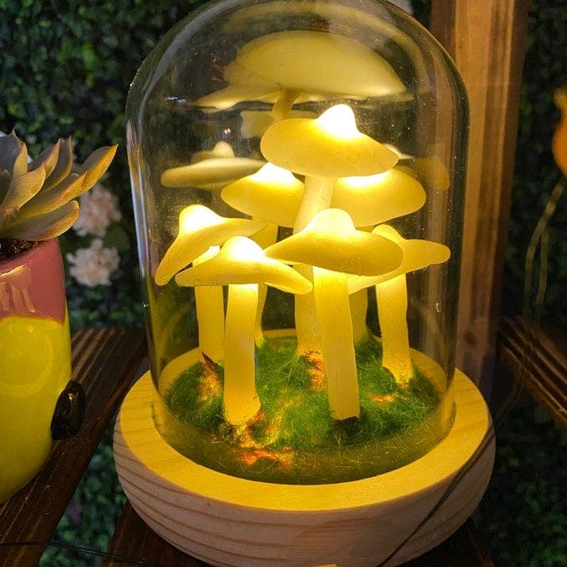 ShroomJar™ | Geniet van verse huisgemaakte champignons