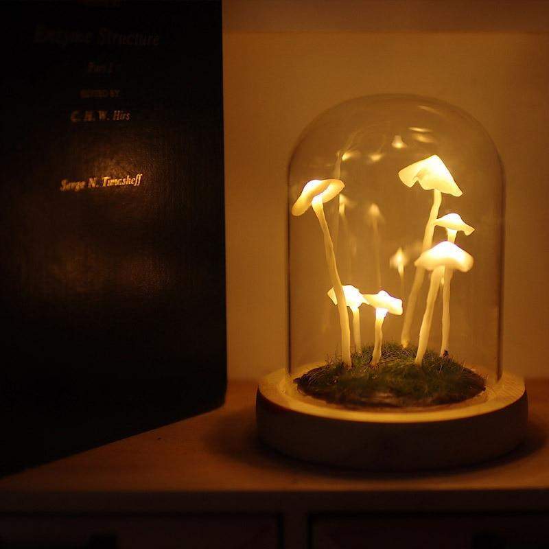 ShroomJar™ | Geniet van verse huisgemaakte champignons