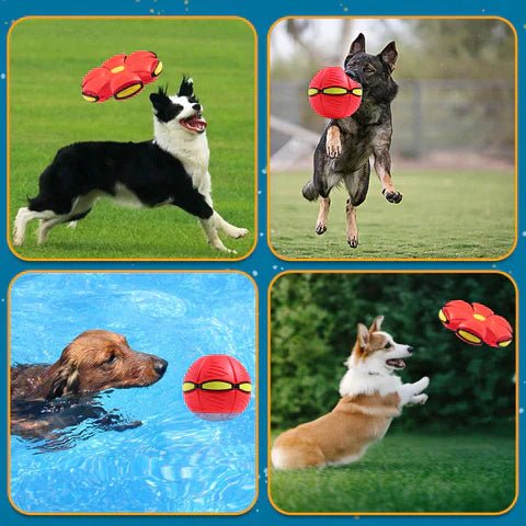DogBall™ | Eindeloos plezier voor uw hond