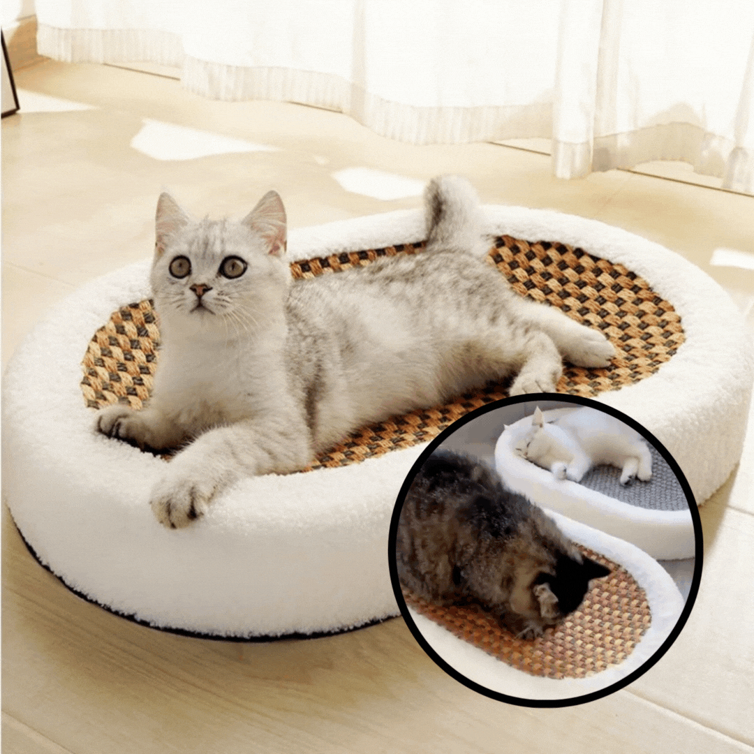 KnuffelNest™ | Ultiem comfort en speelplezier
