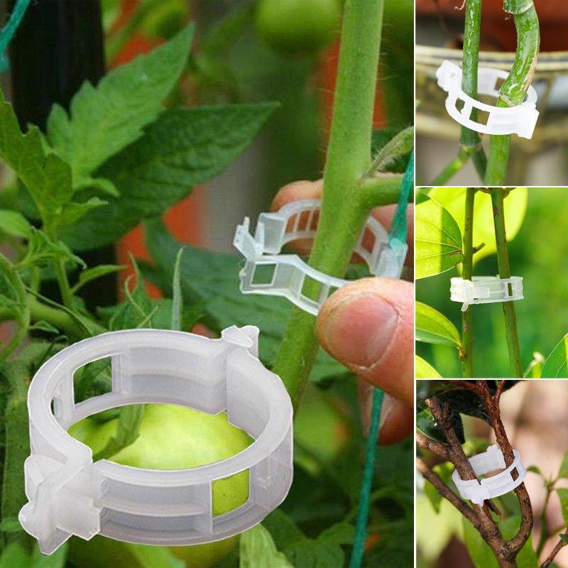StableGrowth™ | Zorg voor een stevig tuin