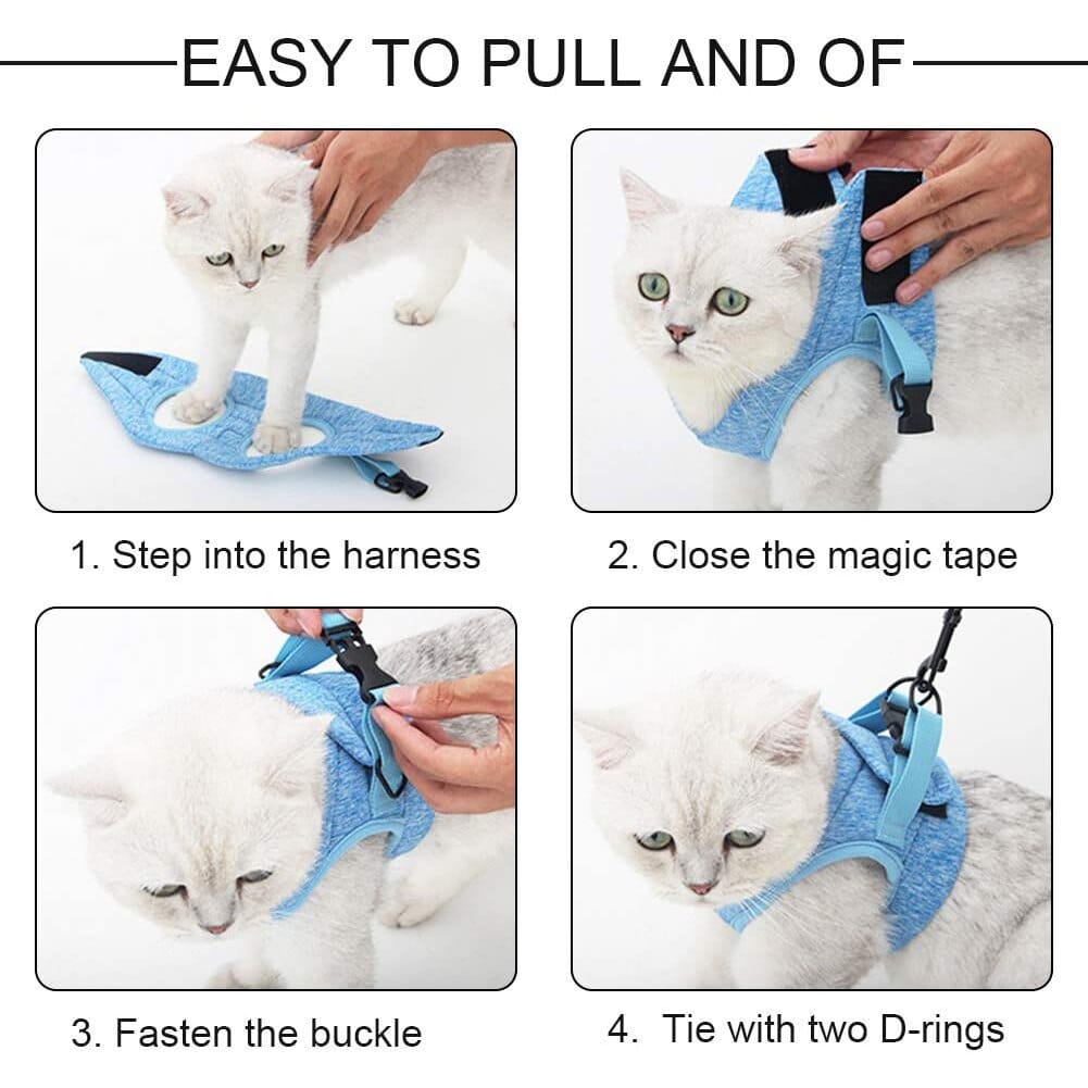 KattiNest™ | Veiligheid en comfort voor je kat