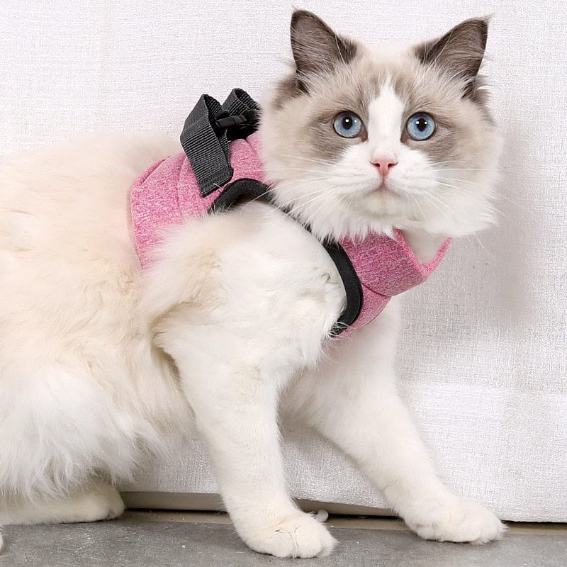 KattiNest™ | Veiligheid en comfort voor je kat
