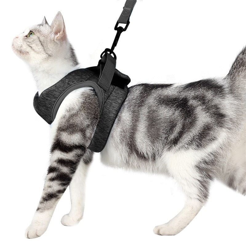 KattiNest™ | Veiligheid en comfort voor je kat