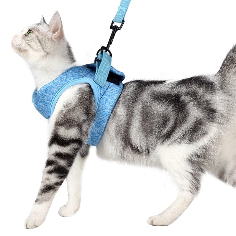 KattiNest™ | Veiligheid en comfort voor je kat