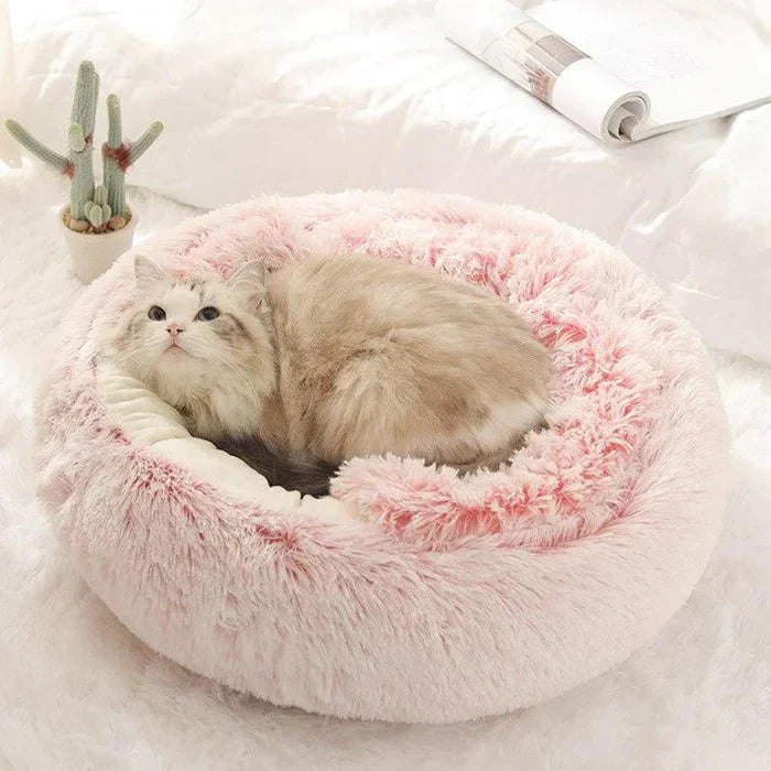 KatNest™ | Ultiem comfort voor je kat
