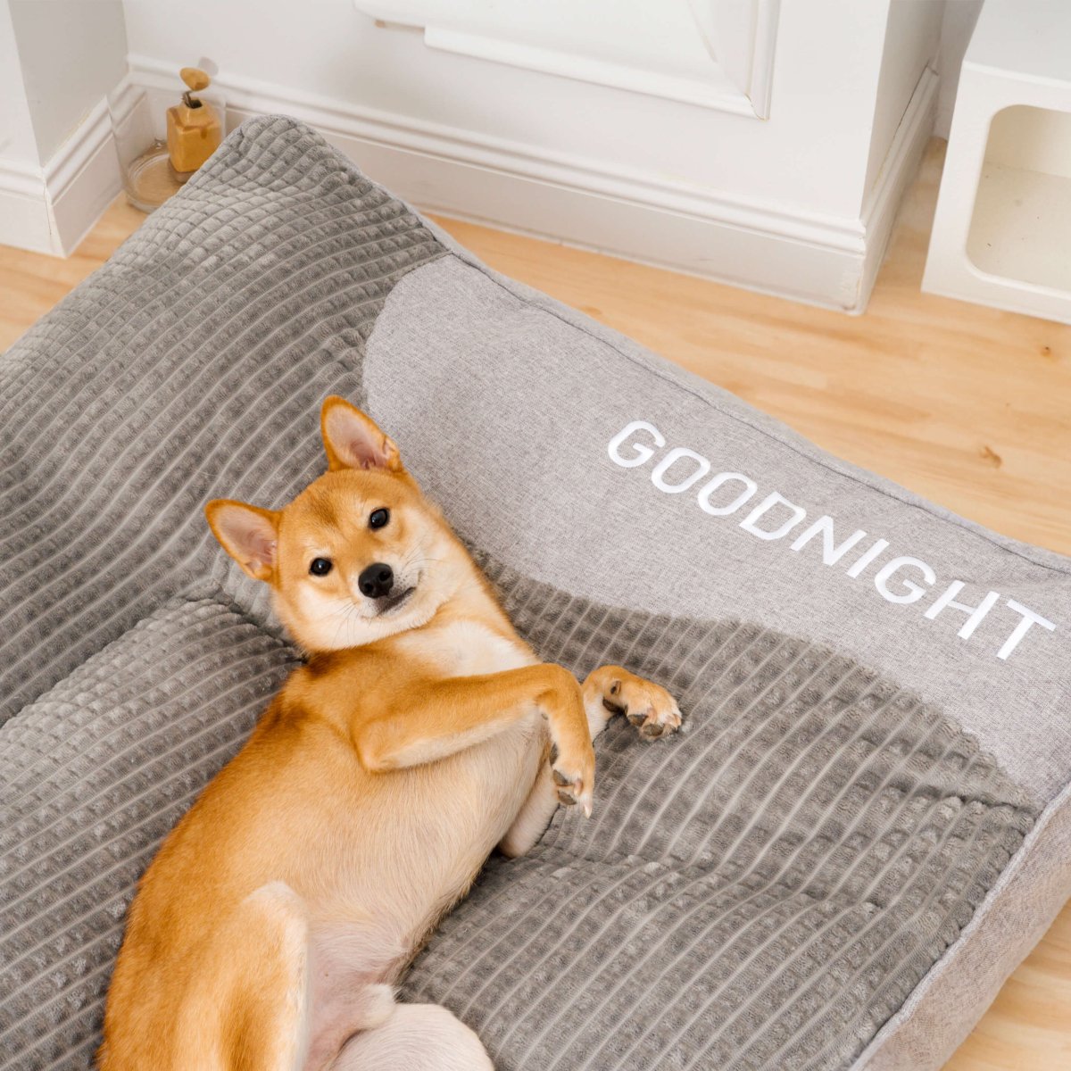 DogCocoon™ | Optimaal comfort voor je metgezel