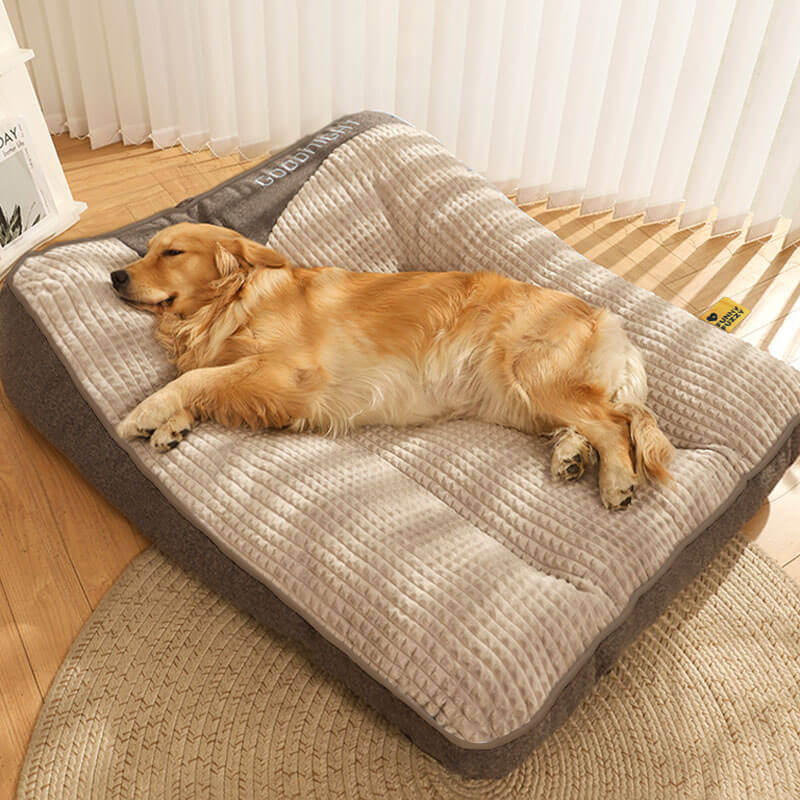 DogCocoon™ | Optimaal comfort voor je metgezel