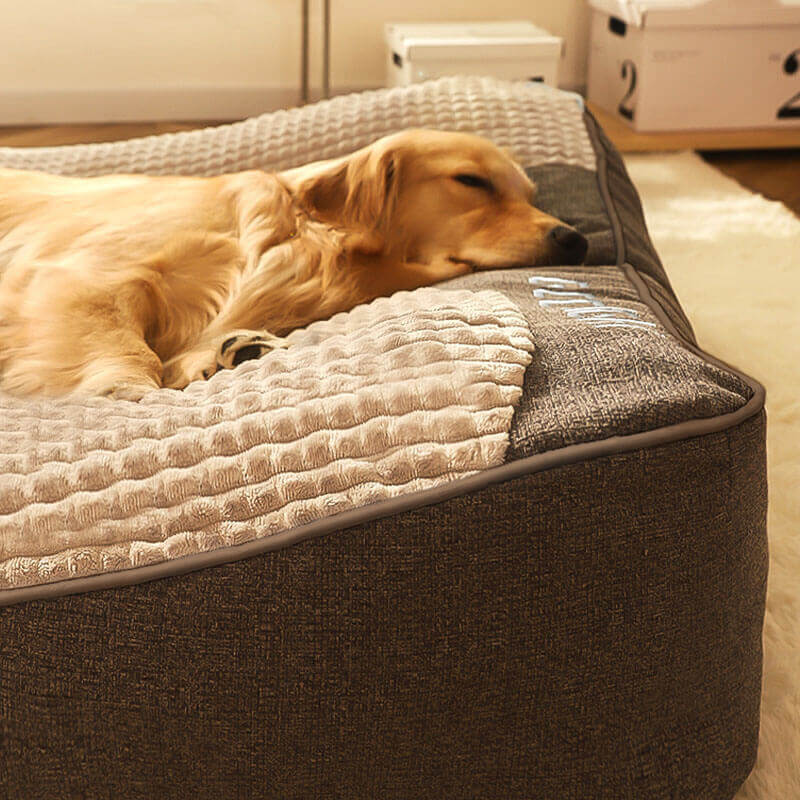DogCocoon™ | Optimaal comfort voor je metgezel