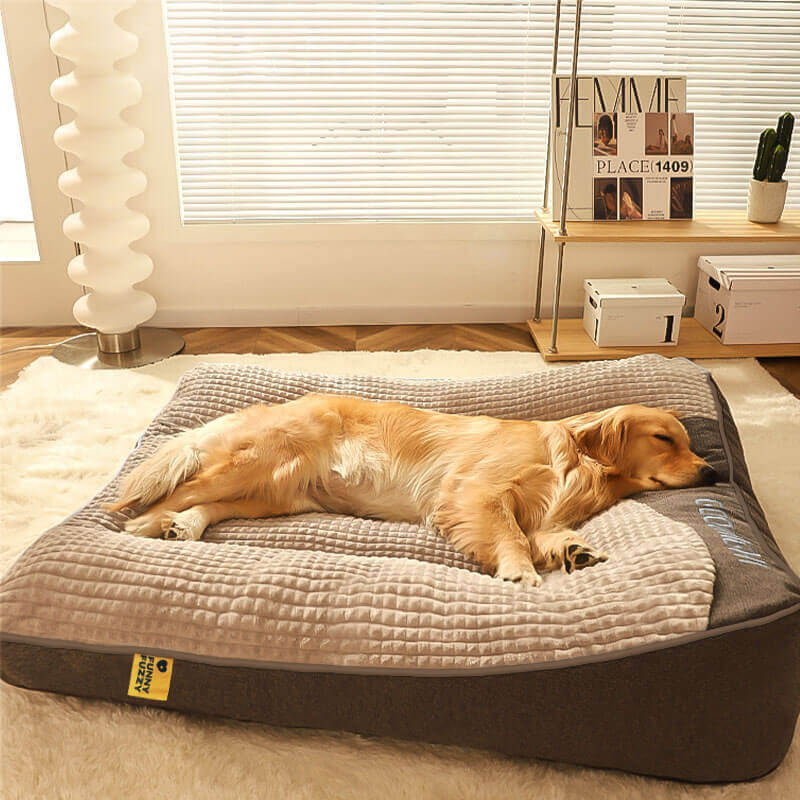 DogCocoon™ | Optimaal comfort voor je metgezel
