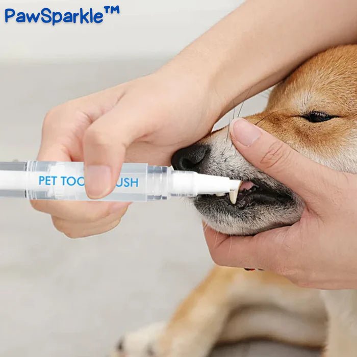 PawSparkle™ | Een oogverblindende glimlach voor je metgezel!