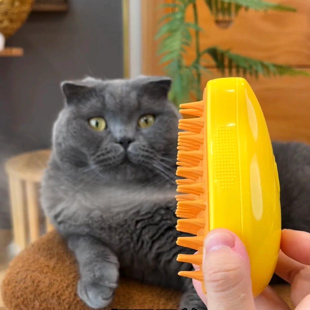 SteamBrush™ | Verlies binnen 24 uur verminderen