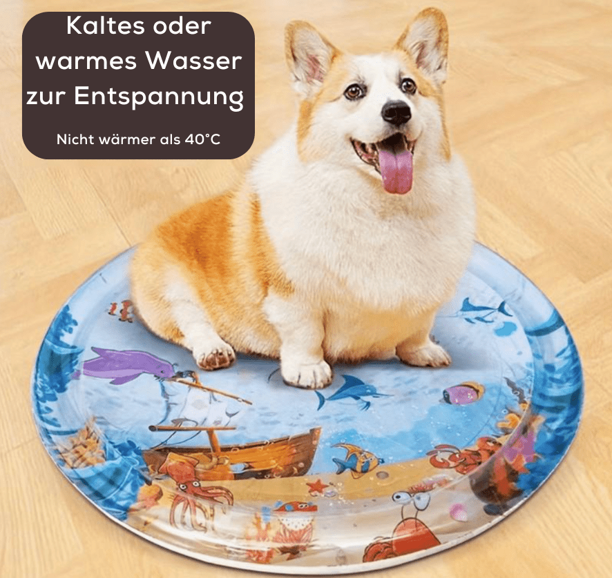 WaterBed™ | Geef je huisdieren hun eigen plekje
