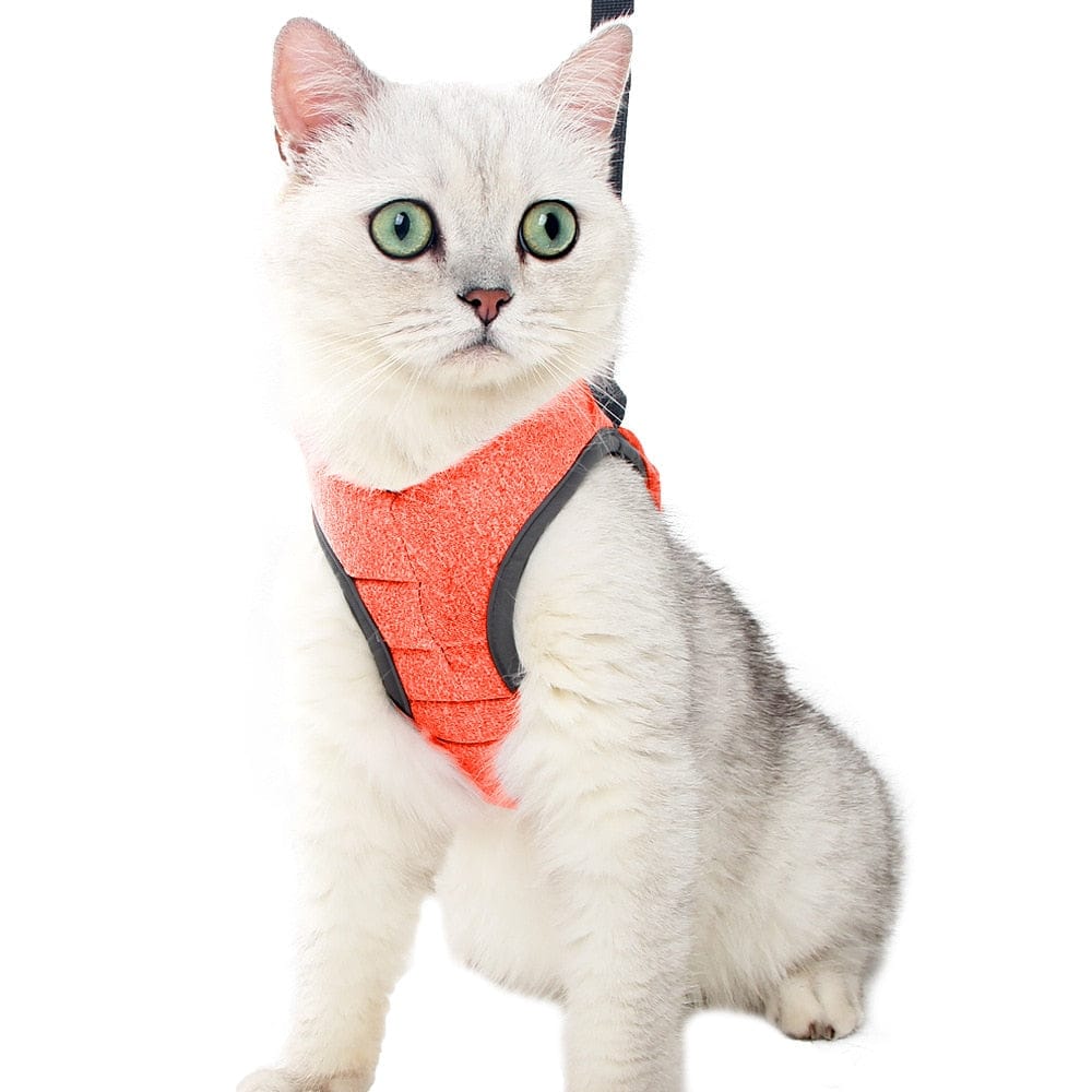 KattiNest™ | Veiligheid en comfort voor je kat