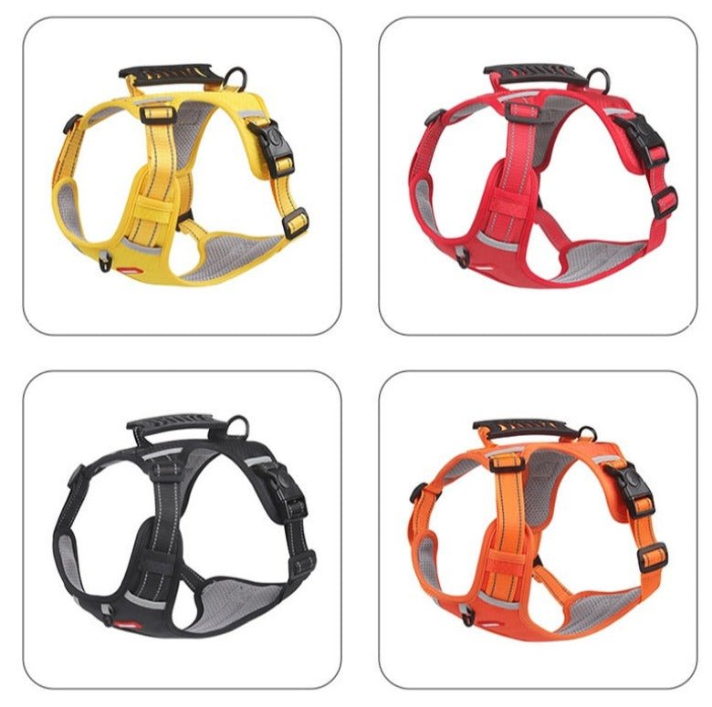 PawGrip™ | Wandel veilig met je hond