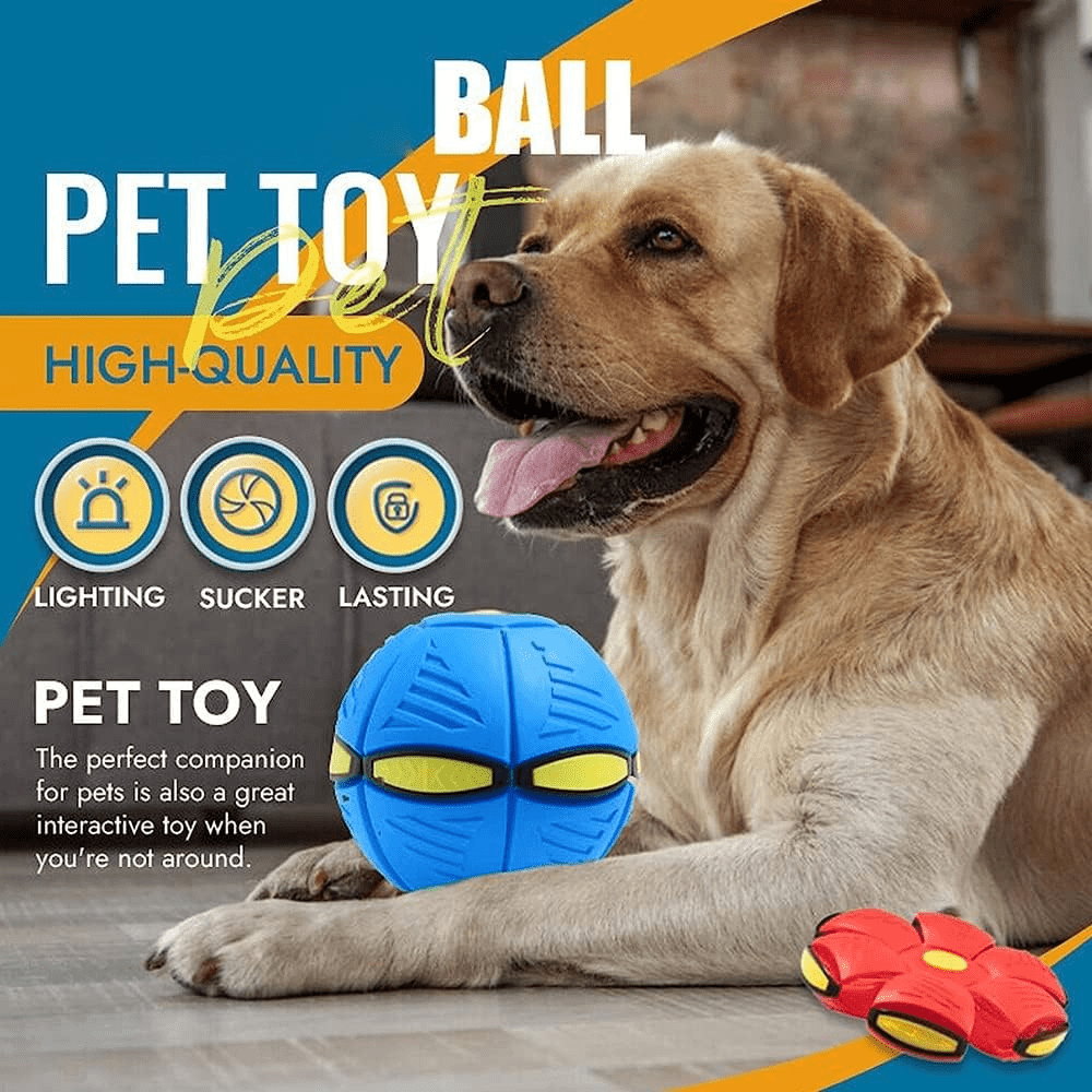 DogBall™ | Eindeloos plezier voor uw hond