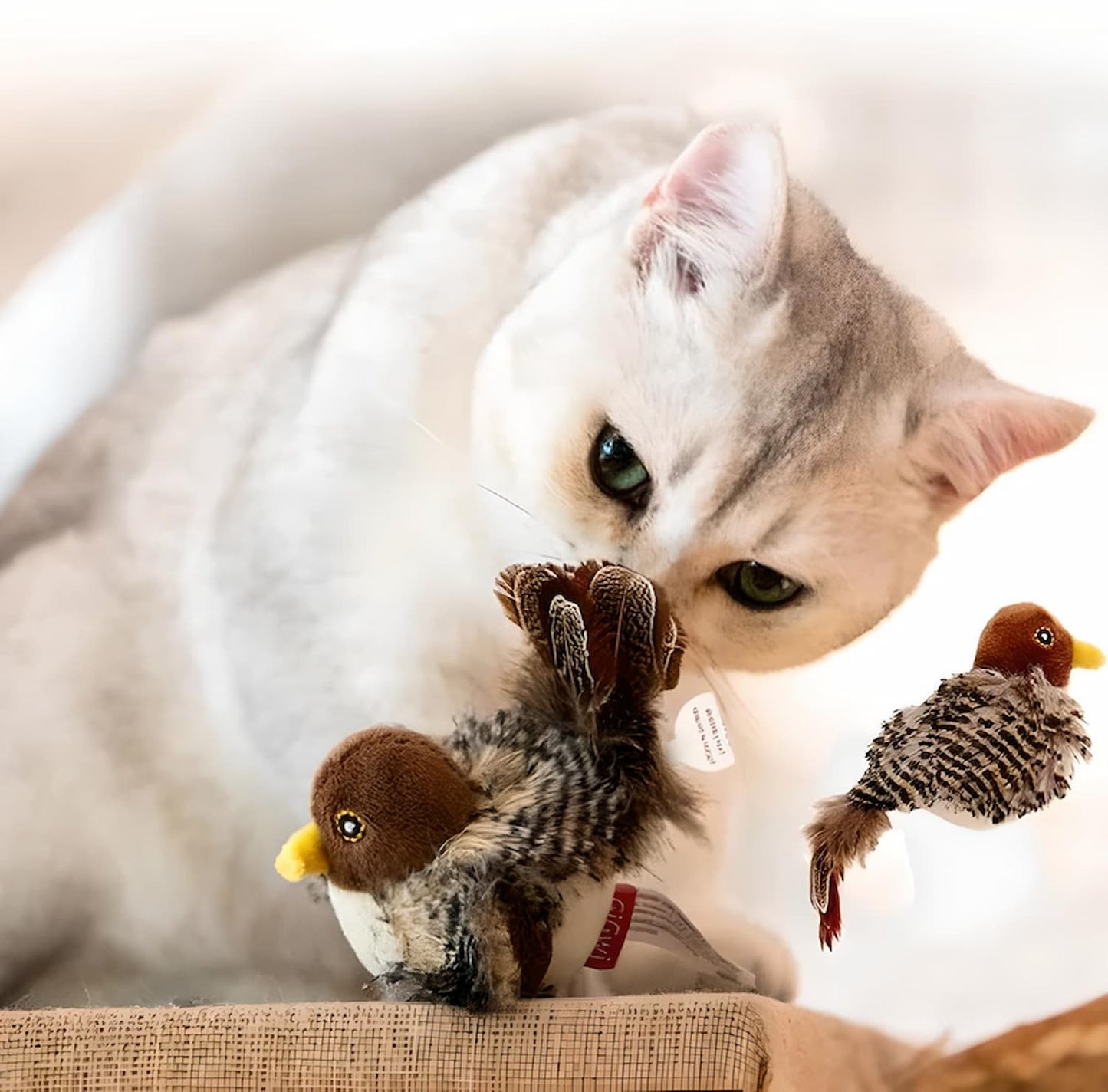 HuntingCat™ | Wek het wilde instinct van je kat!