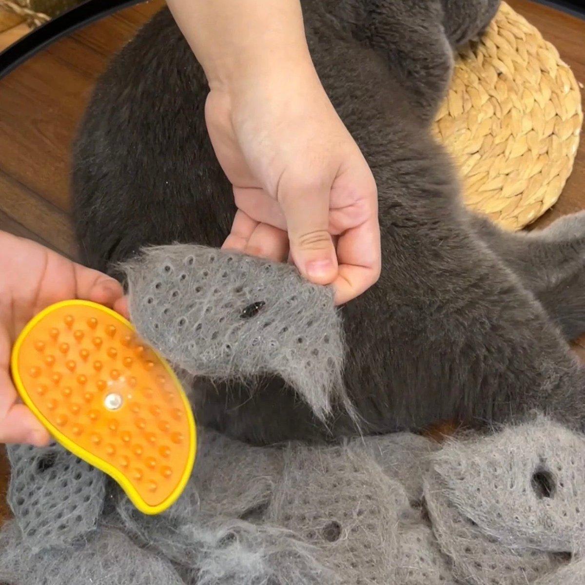 SteamBrush™ | Verlies binnen 24 uur verminderen