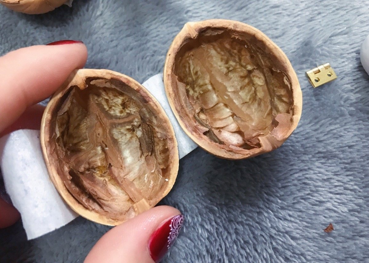 WalnutCharm™ | Ontketen de magie van spel