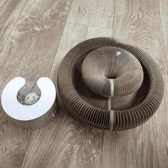 KattenRing™ | Verander het speelplezier van je kat