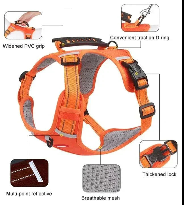PawGrip™ | Wandel veilig met je hond
