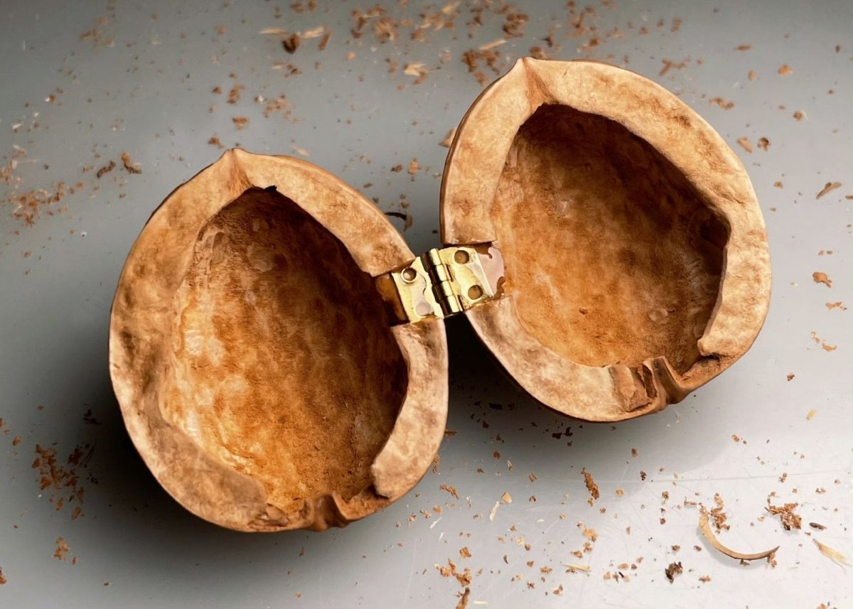 WalnutCharm™ | Ontketen de magie van spel