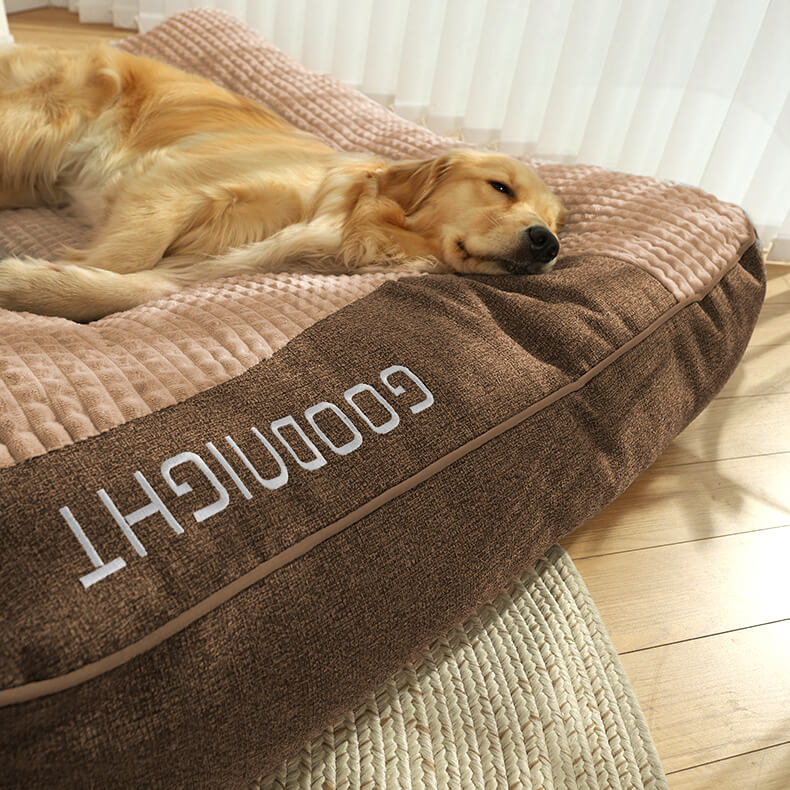 DogCocoon™ | Optimaal comfort voor je metgezel