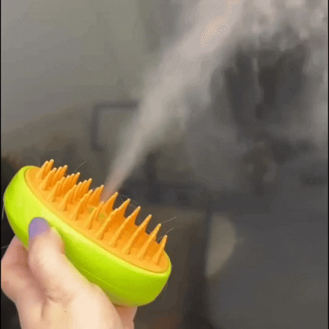 SteamBrush™ | Verlies binnen 24 uur verminderen