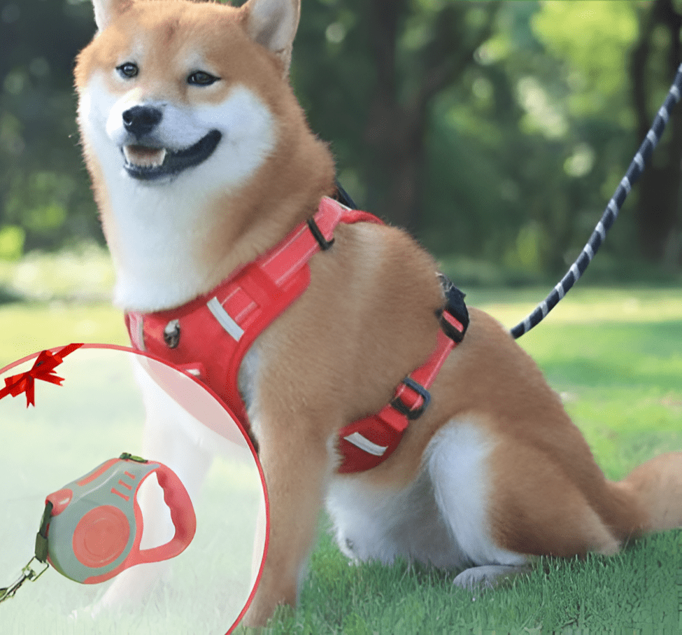 PawGrip™ | Wandel veilig met je hond